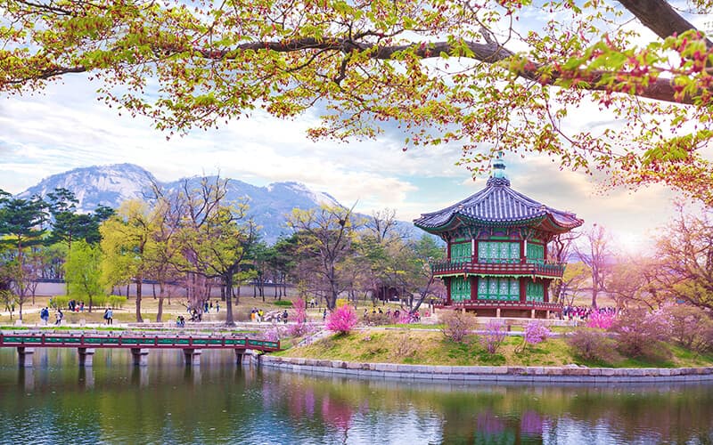 Điều kiện và thủ tục xin visa Hàn Quốc lần 2 | Saigon Star Travel dk-visa-han-quoc-lan-2