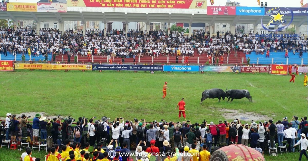 Lễ hội chọi trâu Đồ Sơn diễn ra vào tháng 8 Âm lịch hằng năm