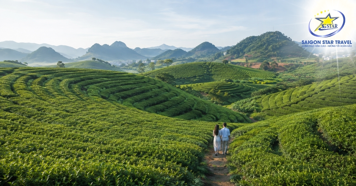 Đồi chè Trái tim Mộc Châu trong tour Tây Bắc 4 ngày 3 đêm