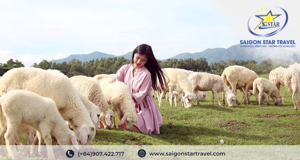 Đồi Cừu Suối Nghệ - Tour Bình Châu Hồ Cốc 1 ngày
