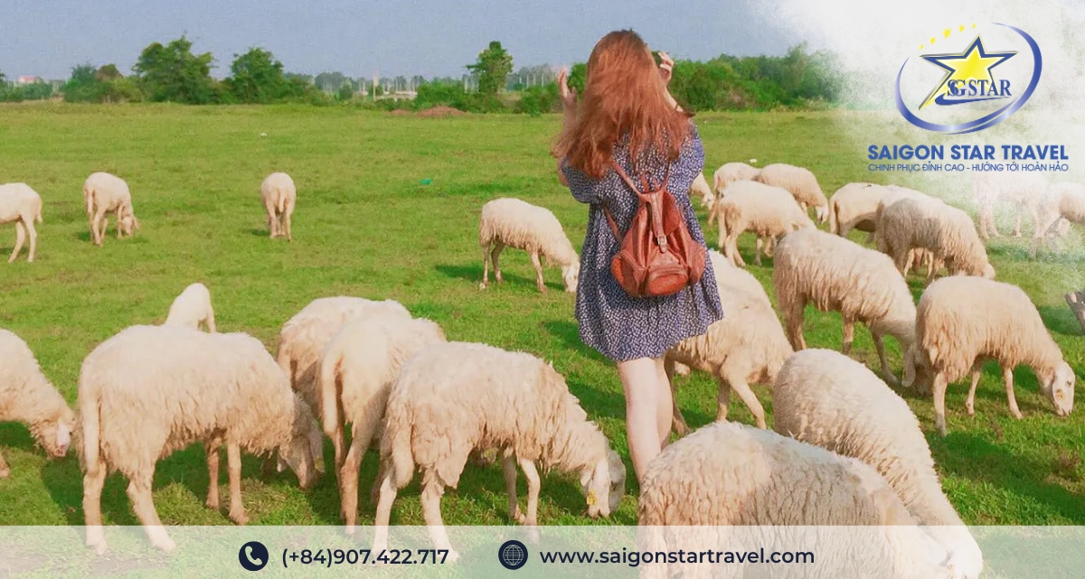 Đồi Cừu - Tour Long Hải 3 ngày 2 đêm