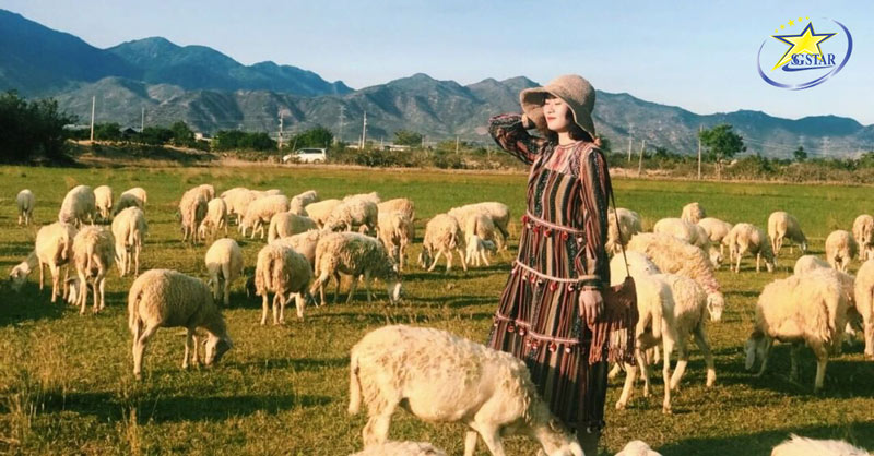 Tour Vũng Tàu 1 Ngày - Teambuilding - Đồi Cừu Suối Nghệ | Saigon Star Travel Đồi cừu Suối Nghệ - Tour Vũng Tàu 1 Ngày