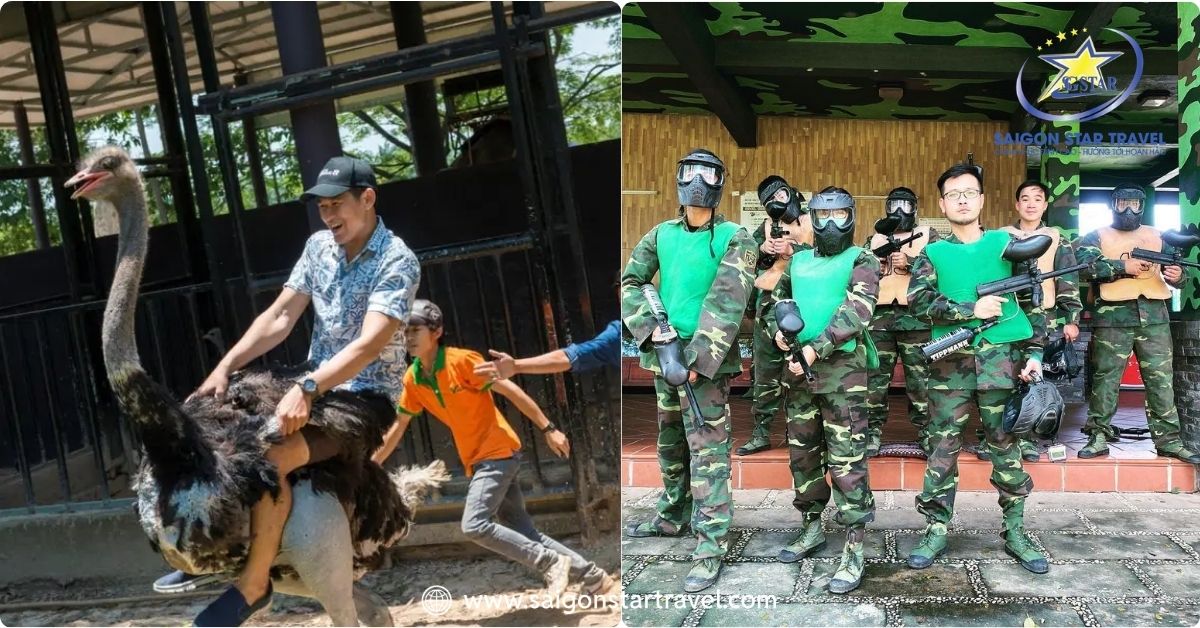 Cưỡi đà điểu và bắn súng sơn cực vui ở Vườn Xoài