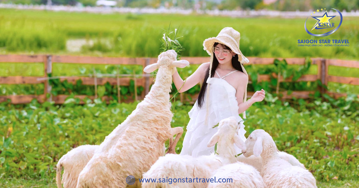 Tham quan Đồi Cừu Suối Tiên