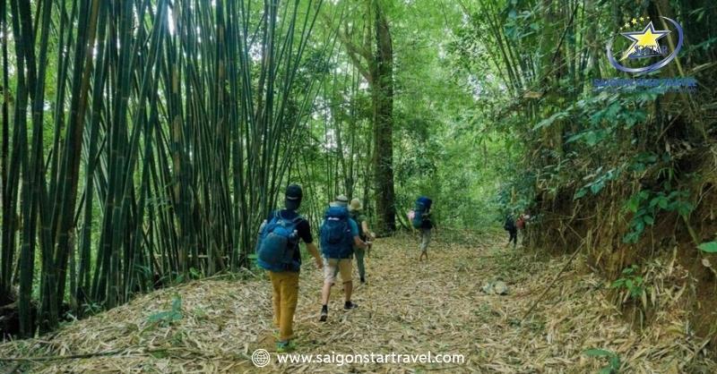 Cảnh quan rừng nguyên sinh trên đường vào VQG Bù Gia Mập trong tour trekking 2 ngày 1 đêm