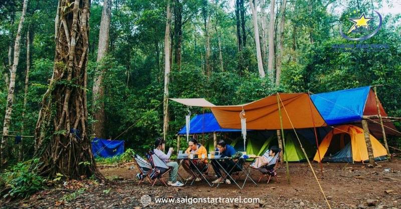 Không khí buổi sáng giữa rừng trong tour trekking VQG Bù Gia Mập 2 ngày 1 đêm