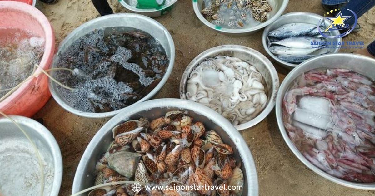 Kinh nghiệm mua hải sản tại bãi biển Cam Bình