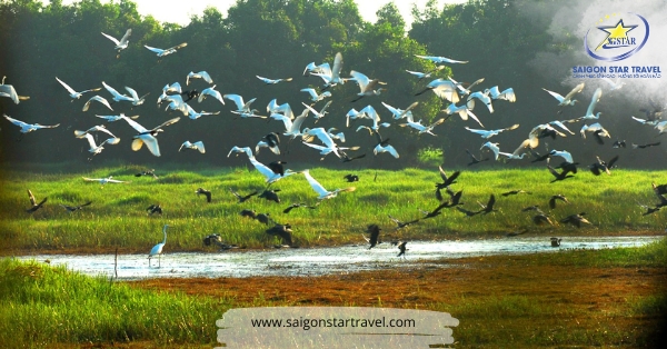Vườn Quốc Gia Tràm Chim - Du lịch bụi miền Tây
