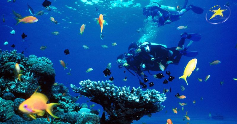 Tour Du Lịch Campuchia 3 Ngày 2 Đêm - Khám Phá Đảo Kohrong Samloem | Saigon Star Travel Tour Du Lịch Campuchia 3 Ngày 2 Đêm - Khám Phá Đảo Kohrong Samloem