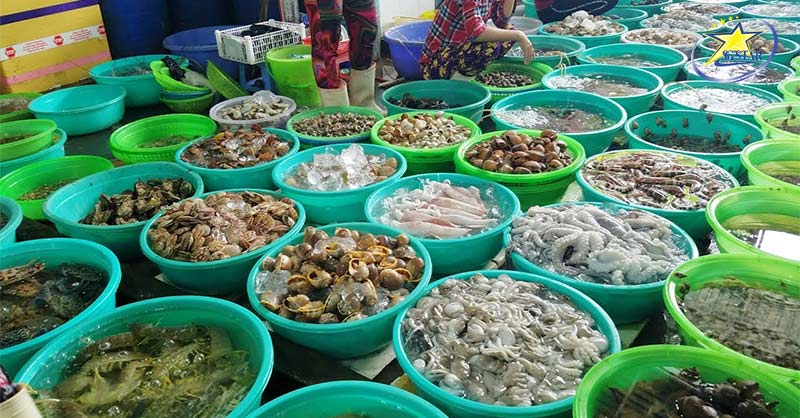 Tham quan & Mua sắm hải sản tại chợ Hàng Dương