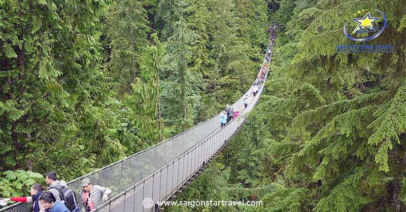 Cầu treo Capilano | Tour Canada 9 Ngày 8 Đêm