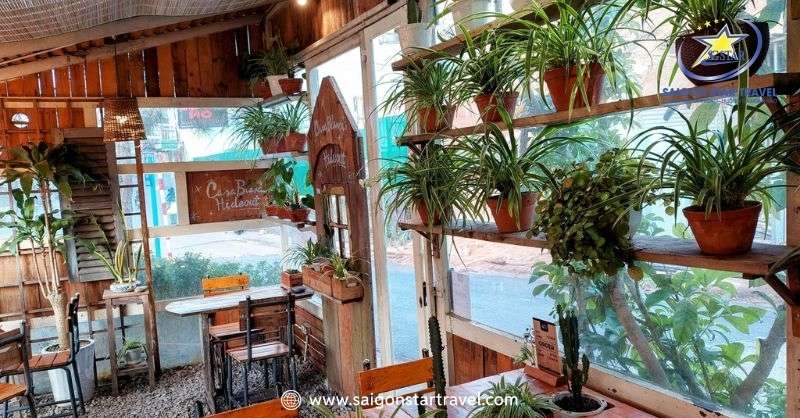 Đà Lạt Tháng 6 - Khám Phá Thành Phố Lãng Mạn Mùa Mưa | Saigon Star Travel Phong cách xanh ở An làm "đốn tim nhiều du khách khi đến đây