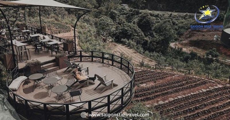 Đà Lạt Tháng 6 - Khám Phá Thành Phố Lãng Mạn Mùa Mưa | Saigon Star Travel Cà Phê F Cánh Đồng Hoa - Tháng 6 Đà Lạt có mưa không?