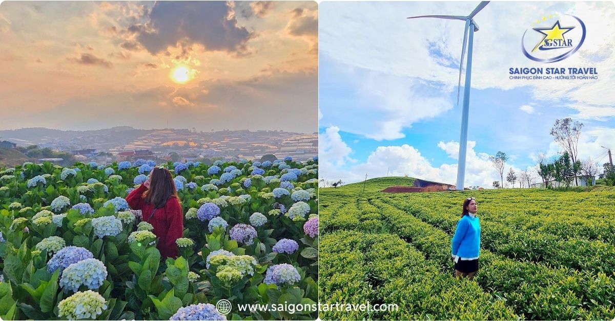 Các góc chụp ảnh rộng rãi thơ mộng trên đường Trại Mát - Cầu Đất