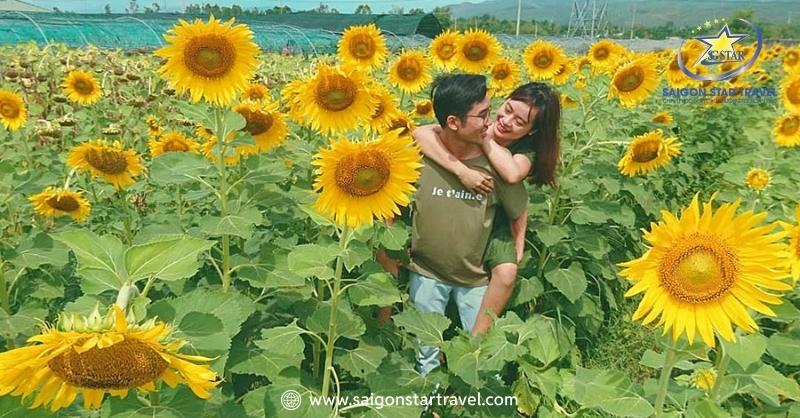 Đi Đà Lạt Mùa Nào Đẹp Nhất? Chi Tiết Các Mùa Nên Đi Du Lịch | Saigon Star Travel Cánh đồng hoa hướng dương - nơi chụp hình của các đôi yêu nhau