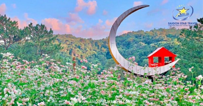Hoa Sơn Điền Trang – Thiên Đường Sống Ảo Triệu Like | Saigon Star Travel Cánh Đồng Hoa Tam Giác Mạch ở Hoa Sơn Điền Trang