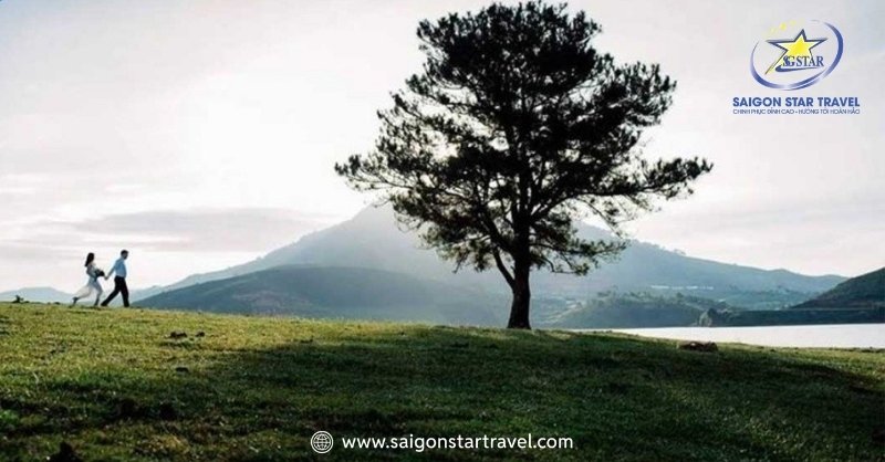 Đà Lạt Tháng 12 - Đến Và Trải Nghiệm Mùa Cuối Năm | Saigon Star Travel Cây Thông Cô Đơn – Điểm Sống Ảo Đầy Ấn Tượng