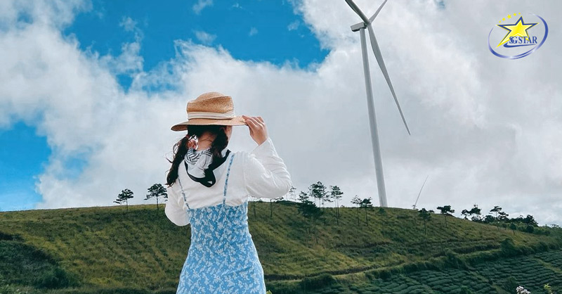 Những Gợi Ý Cho Chuyến Du lịch Đà Lạt Tết 2024 | Saigon Star Travel Check-in Cánh đồng quạt gió | Du lịch Đà Lạt Tết 2024