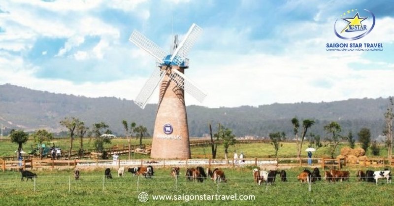 Dalat Milk Farm - Cảnh Sắc Mỹ Lệ Tựa Chốn Cổ Tích Đời Thực | Saigon Star Travel Check-in Với Cối Xay Gió trắng muốt