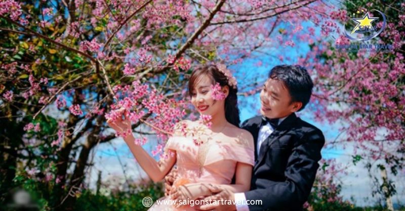 Du Lịch Đà Lạt Mùa Xuân – Khám Phá Đà Lạt Tràn Sức Sống | Saigon Star Travel Du Lịch Mùa Xuân Ở Đà Lạt Để Chụp Ảnh Cưới
