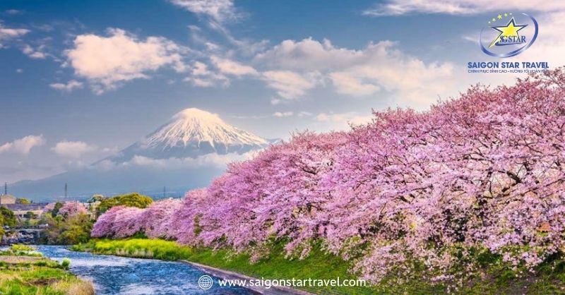 Du Lịch Đà Lạt Mùa Xuân – Khám Phá Đà Lạt Tràn Sức Sống | Saigon Star Travel Nên Đi Du Lịch Đà Lạt Vào Mùa Xuân Không?