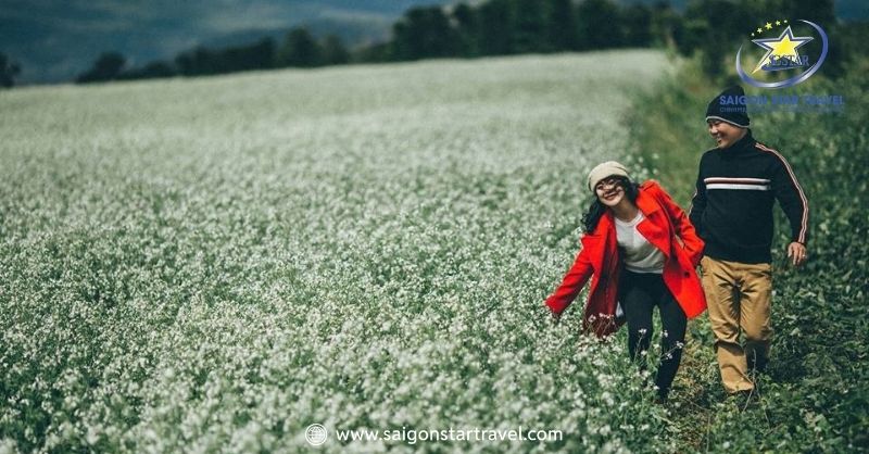 Đà Lạt Tháng 12 - Đến Và Trải Nghiệm Mùa Cuối Năm | Saigon Star Travel Đà Lạt tháng 12 là thời điểm cuối năm nên nhiệt độ về đêm rất lạnh