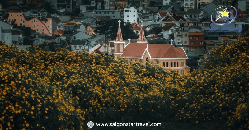 TOP 12 Homestay Đà Lạt Bình Dân, Bạn Nên Trải Nghiệm | Saigon Star Travel Lựa chọn dành cho bạn - Dalat Chocolate Homestay