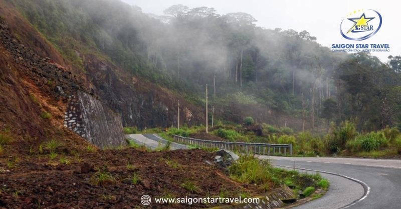 Khám Phá Đèo Omega Hùng Vĩ, Tại Sao Không ? | Saigon Star Travel Đèo Omega dài bao nhiêu? Đèo Omega Đà Lạt Có Phải Là Đèo Dài Nhất Việt Nam Không?