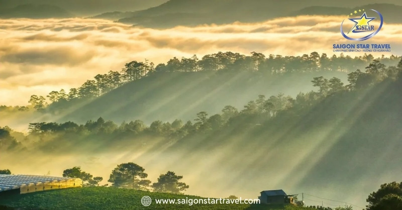 Du Lịch Đà Lạt Mùa Mưa Và Mẹo Vui Chơi Bất Chấp Thời Tiết | Saigon Star Travel Đỉnh Du Sinh săn mây cực đã