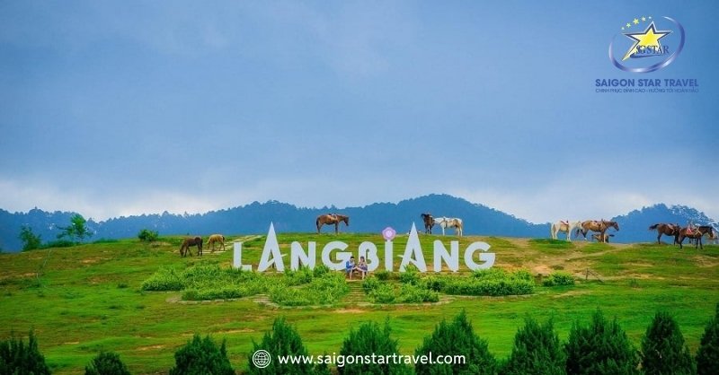 Du Lịch Đà Lạt Tháng Mấy Đẹp Nhất Để Tận Hưởng Trọn Vẹn | Saigon Star Travel Đỉnh núi cao nhất Đà Lạt - Lang Biang