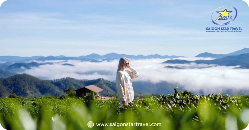 Check-in sống ảo hết mình tại Đồi Chè Cầu Đất | Combo Đà Lạt 3 Ngày 3 Đêm