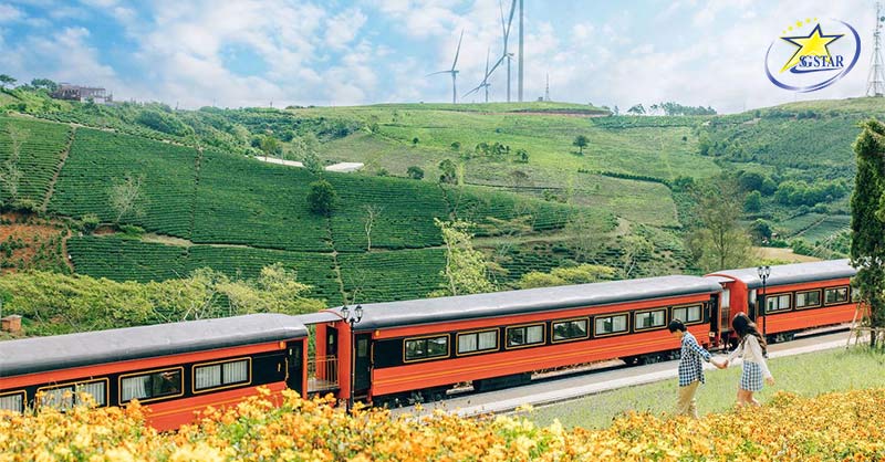 Đồi Chè Cầu Đất Đà Lạt - Vùng Đất Tuyệt Vời Giữa Cao Nguyên | Saigon Star Travel Đoàn tàu đỏ tại Đồi Chè Cầu Đất