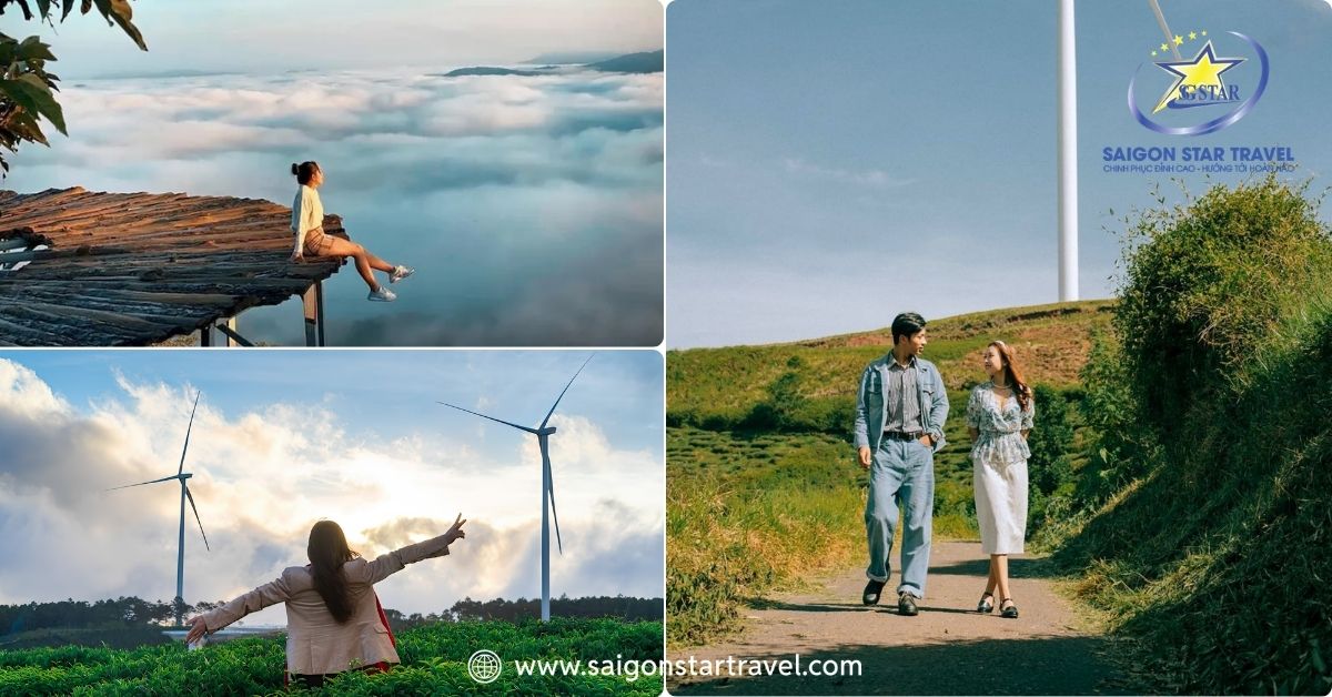 Ghé thăm đồi chè Cầu Đất lúc sáng sớm, du khách sẽ được thả mình vào không gian xanh ngát.