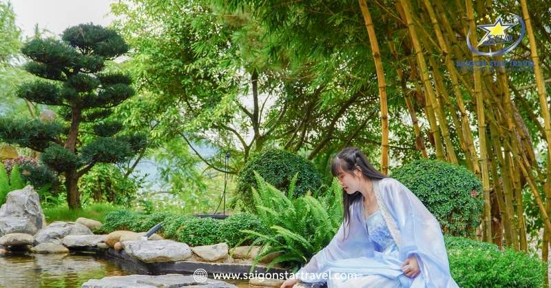 Vẻ Đẹp HÀN TRUNG NHẬT tại Rừng Thông Núi Voi giữa Đà Lạt | Saigon Star Travel KDL Rừng Thông Núi Voi của chủ sở hữu Công ty CP Du Lịch LTC đầu tư 2023