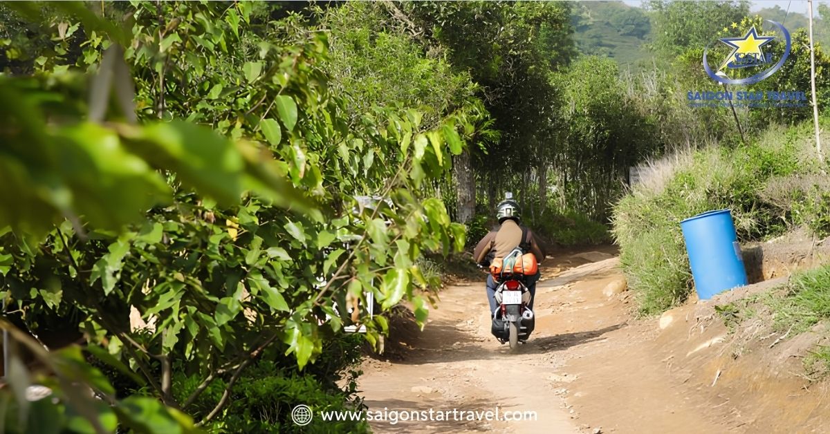 Đường lên chùa Linh Quy Pháp Ấn nhỏ hẹp với những con dốc đứng nguy hiểm