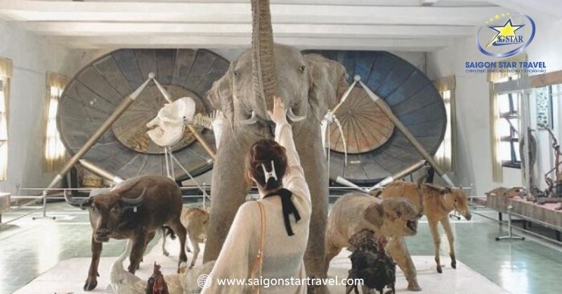 Bảo Tàng Sinh Học Đà Lạt - Bộ Sưu Tập Riêng Của Tây Nguyên | Saigon Star Travel Một nét cổ kính mang đậm kiến trúc Pháp xưa của bảo tàng sinh học Đà Lạt