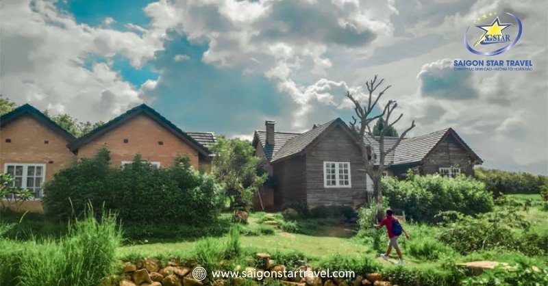 Dalat Milk Farm - Cảnh Sắc Mỹ Lệ Tựa Chốn Cổ Tích Đời Thực | Saigon Star Travel Nông trại bò sữa Đà Lạt Milk cạnh dòng Đa Nhim