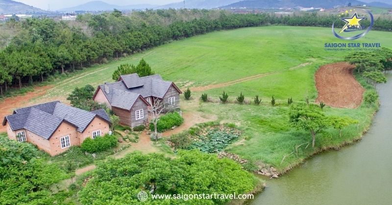 Dalat Milk Farm - Cảnh Sắc Mỹ Lệ Tựa Chốn Cổ Tích Đời Thực | Saigon Star Travel Trang trại bò sữa lớn nhất Việt Nam