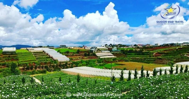 Du Lịch Trại Mát Đà Lạt - Bỏ Túi Kinh Nghiệm Mới Nhất 2025 | Saigon Star Travel Du lịch Trại Mát phường 11 tp Đà Lạt Lâm Đồng