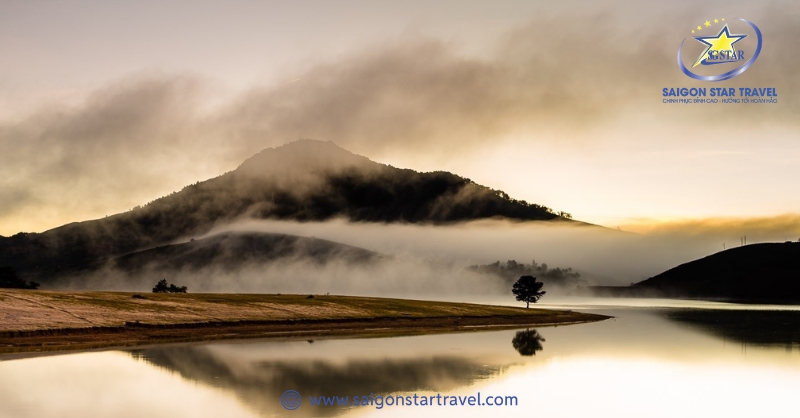 Khám Phá Hồ Suối Vàng Đà Lạt - Vẻ Đẹp Tiên Cảnh Có 102 | Saigon Star Travel Hồ Suối Vàng ẩn mình trong lớp sương mờ mờ ảo ảo những buổi sớm mai
