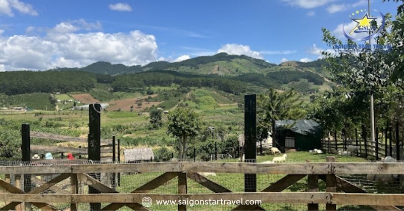 Mongo Land Dalat - Khám Phá "Tiểu Vương Quốc" Thơ Mộng | Saigon Star Travel Hướng Dẫn Di Chuyển Khu Du Lịch Mongo Land