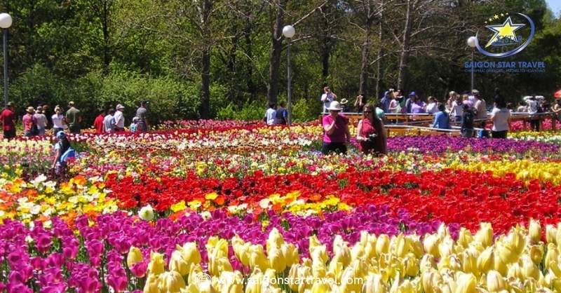 Vườn Hoa Thành Phố Đà Lạt Kiều Diễm Giữa Cao Nguyên | Saigon Star Travel Đi Vườn Hoa Dalat hạn chế đi buổi trưa