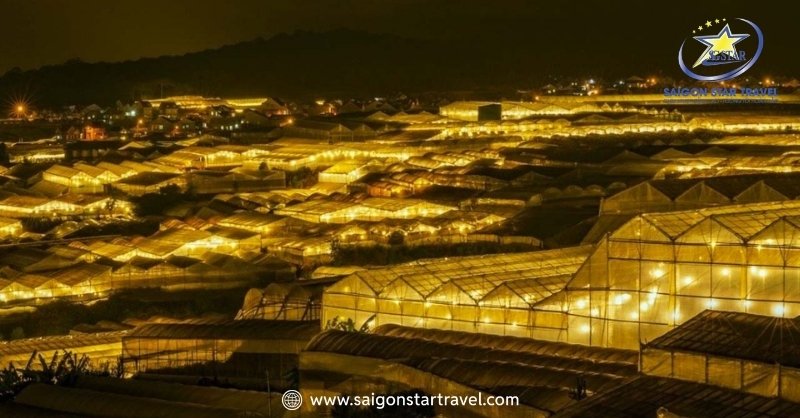 Đà Lạt Về Đêm Và Những Địa Điểm "Quên Lối Về" | Saigon Star Travel Làng hoa Thái Phiên - Cảnh Đà Lạt về đêm buồn