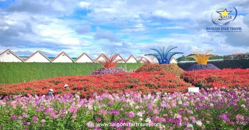 Du Lịch Đà Lạt Mùa Xuân – Khám Phá Đà Lạt Tràn Sức Sống | Saigon Star Travel Làng Hoa Vạn Thành – Nơi Trồng Hoa Nhiều Nhất Đà Lạt