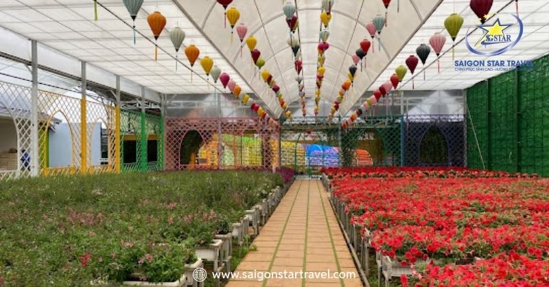 KDL Thác Voi Đà Lạt - Danh Thắng Hùng Vĩ Phố Sương Mù | Saigon Star Travel Làng hoa Vạn Thành sở hữu hàng nghìn loài hoa khoe sắc quanh năm