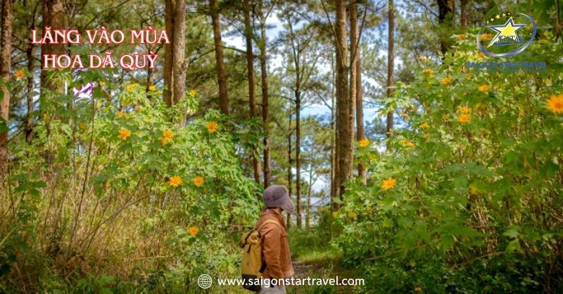 Lăng Mộ Nguyễn Hữu Hào – Công Trình Mang Hơi Thở Huế | Saigon Star Travel Mộ Nguyễn Hữu Hào vào mùa hoa dã quỳ