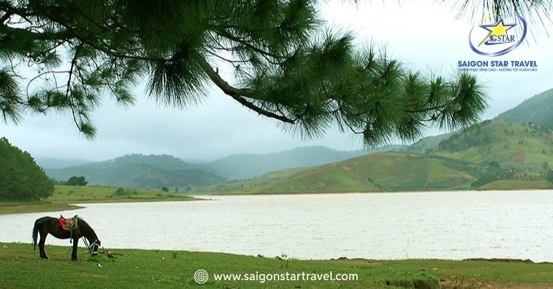 Khám Phá Hồ Suối Vàng Đà Lạt - Vẻ Đẹp Tiên Cảnh Có 102 | Saigon Star Travel Lý do du khách đến hồ Suối Vàng Đà Lạt ngày một đông