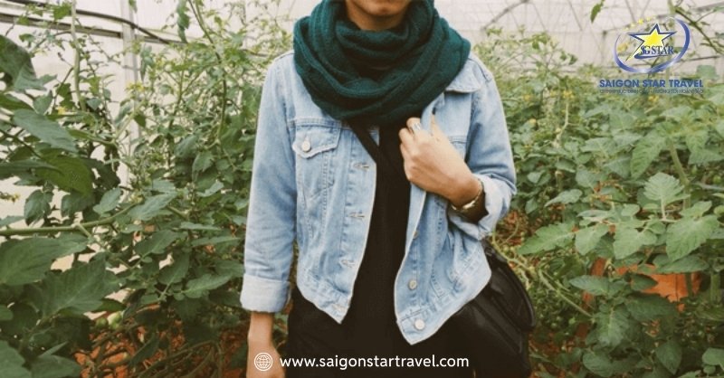 Đà Lạt Tháng 12 - Đến Và Trải Nghiệm Mùa Cuối Năm | Saigon Star Travel Đà Lạt tháng 12 có mưa không? Đi thời điểm này nên có khăn quàng cổ cho ấm