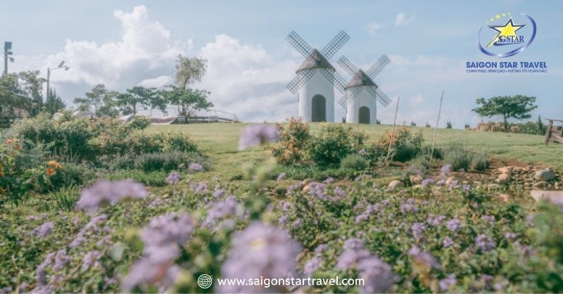 Đến Mongo Land như lạc vào thảo nguyên bao la