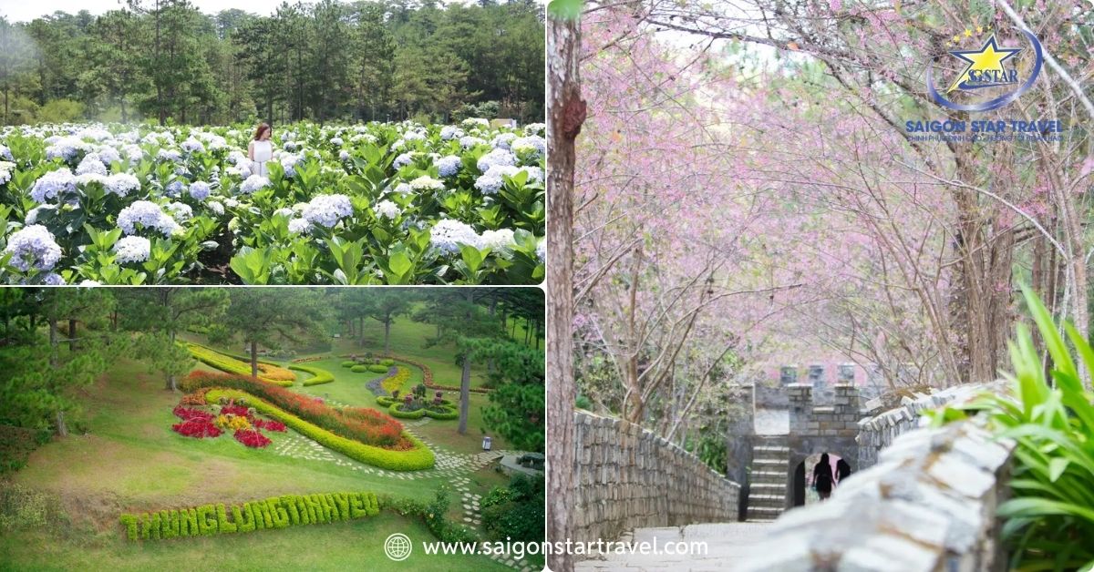 Tận hưởng mùa hoa đẹp nhất khi đến với Thung lũng Tình yêu